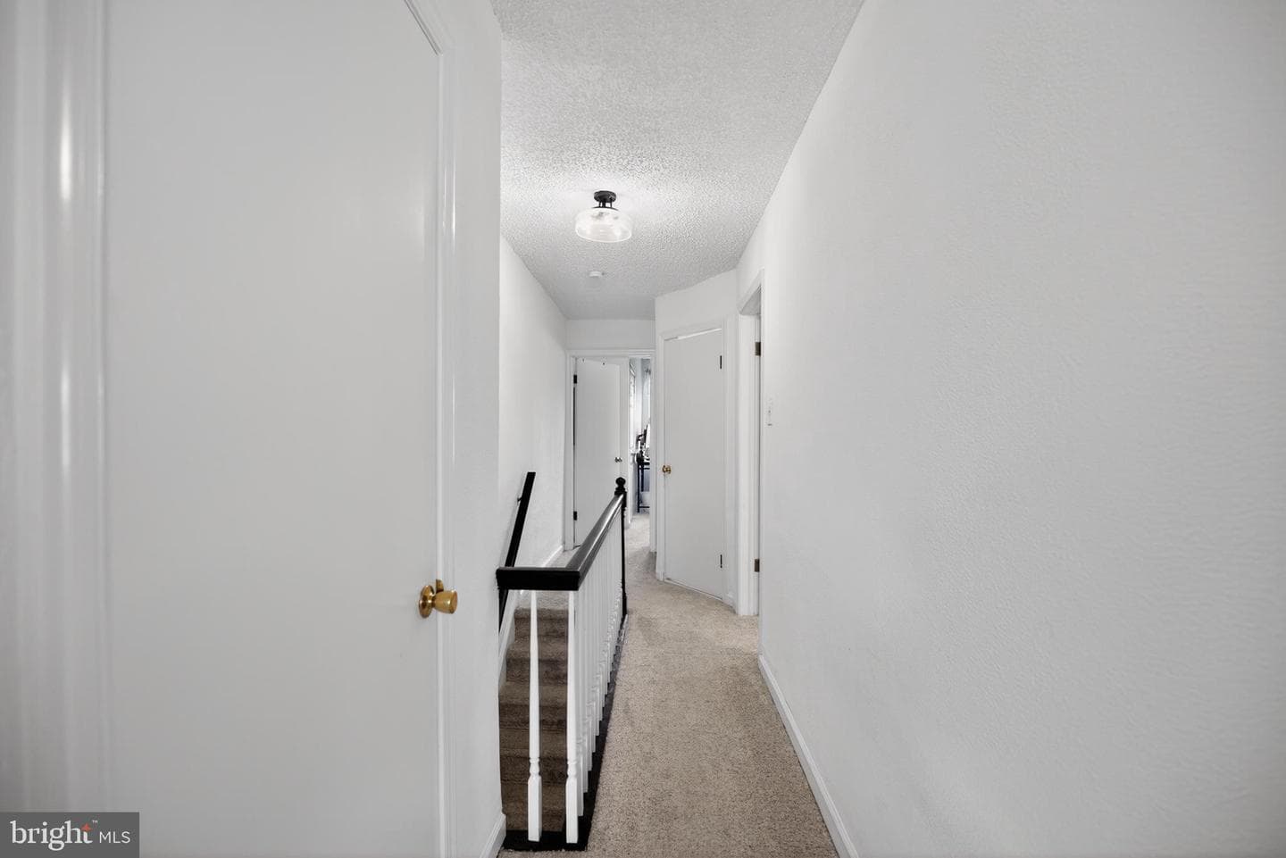 259 Lauriston Street photo 22