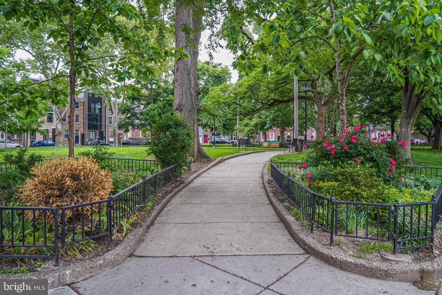 1834 Sepviva Street photo 37