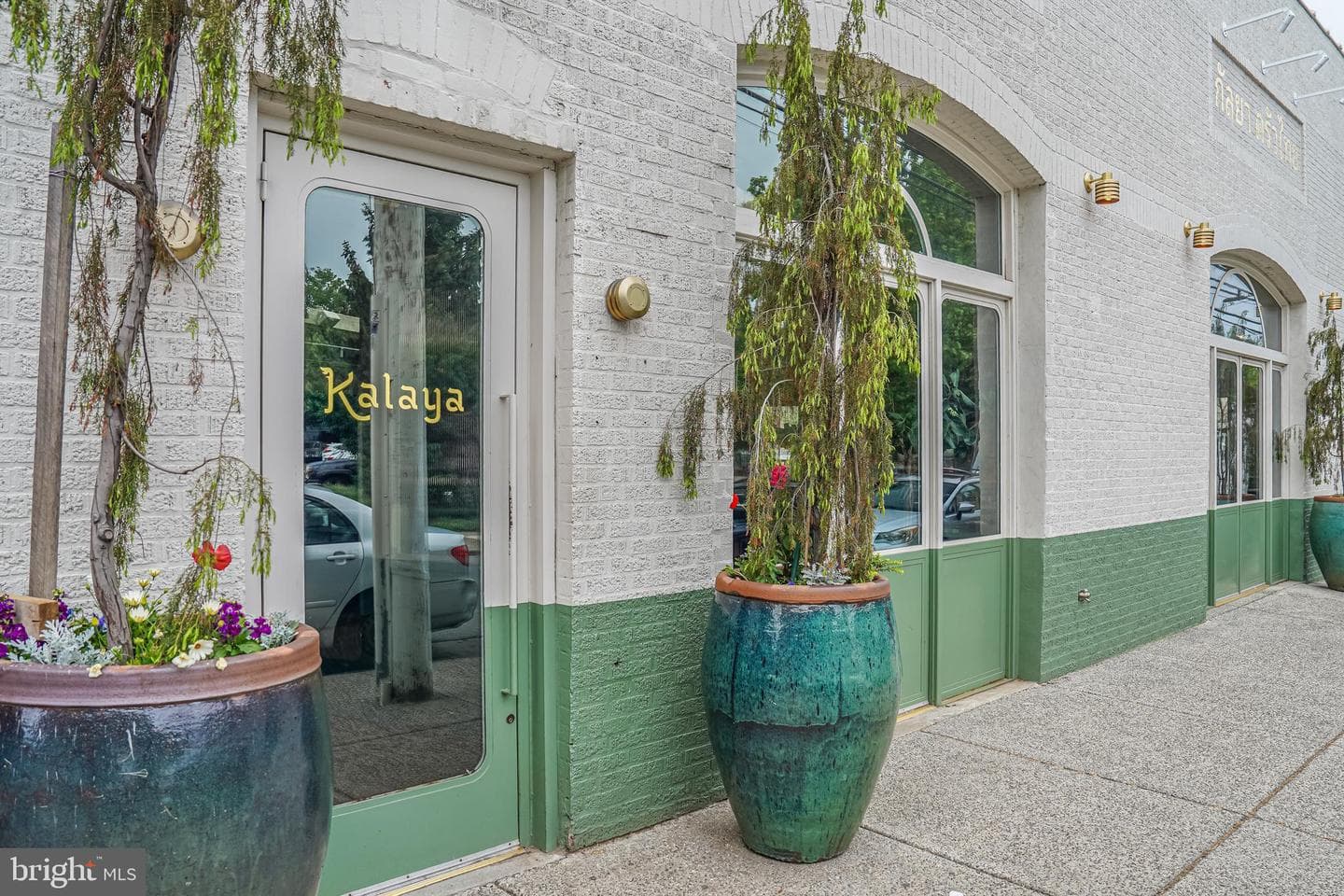 1834 Sepviva Street photo 52