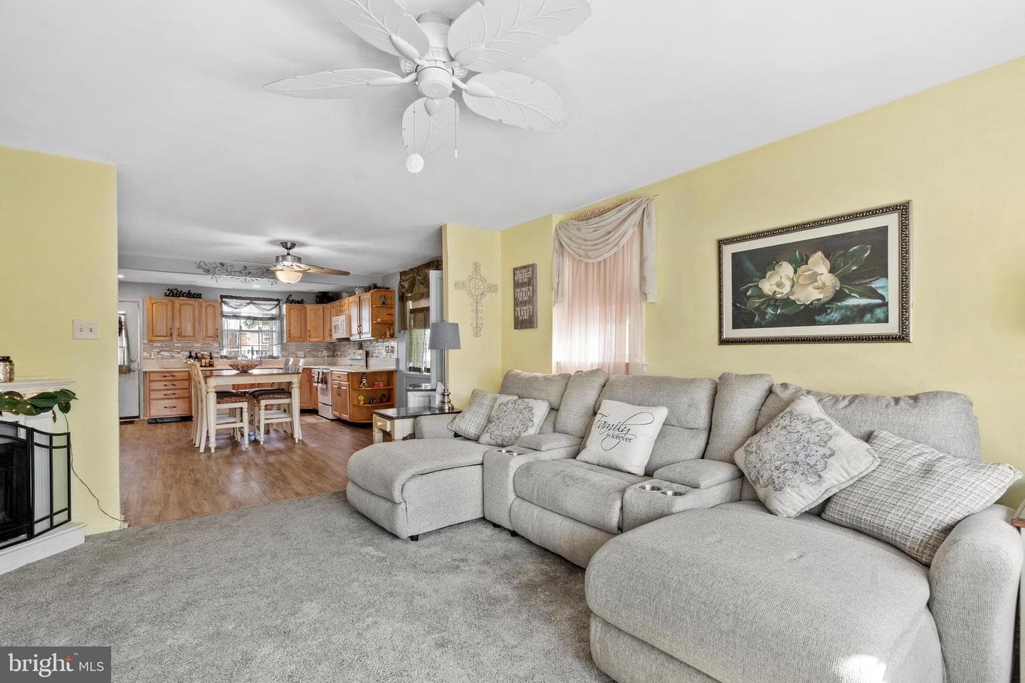 11817 Colman Terrace photo 8