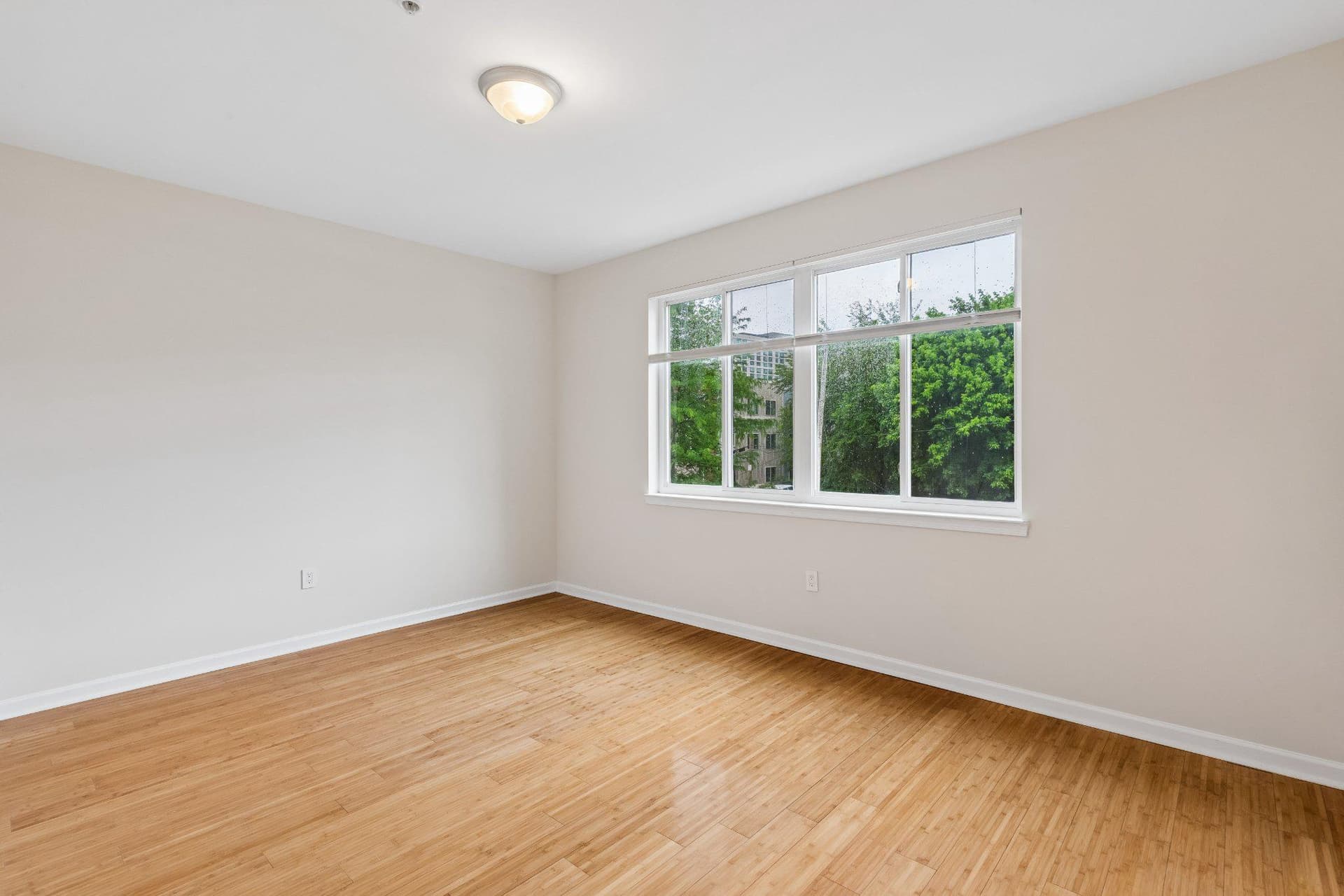 1211 Mount Vernon Street #1 photo 16