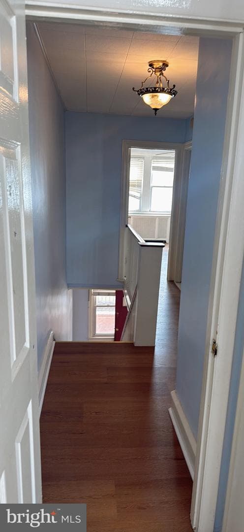 3445 Wellington Street photo 14