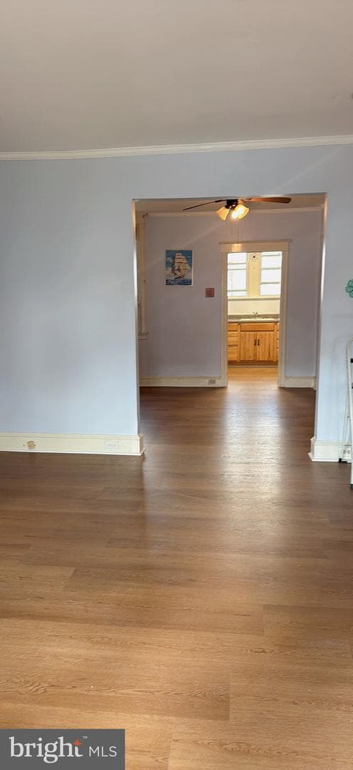 3445 Wellington Street photo 5