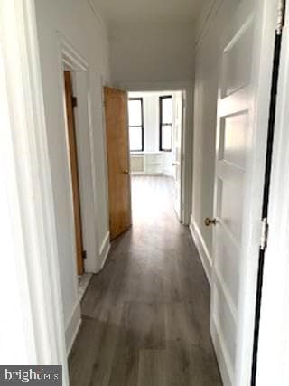 250 S 13th Street #6a photo 13