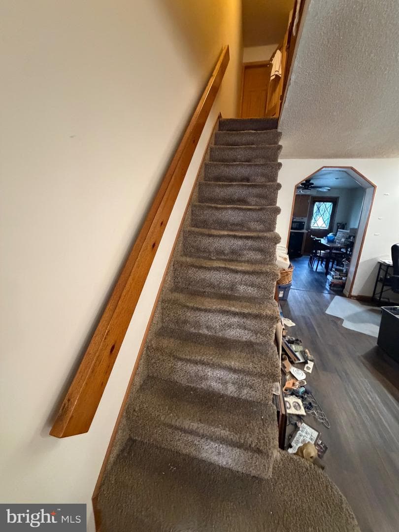 937 Hoffman Street photo 5
