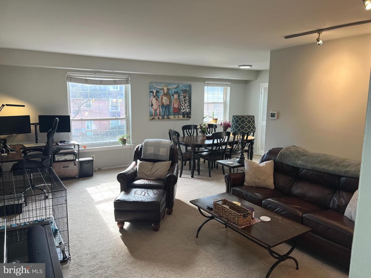 4000 Gypsy Lane #247b photo 7