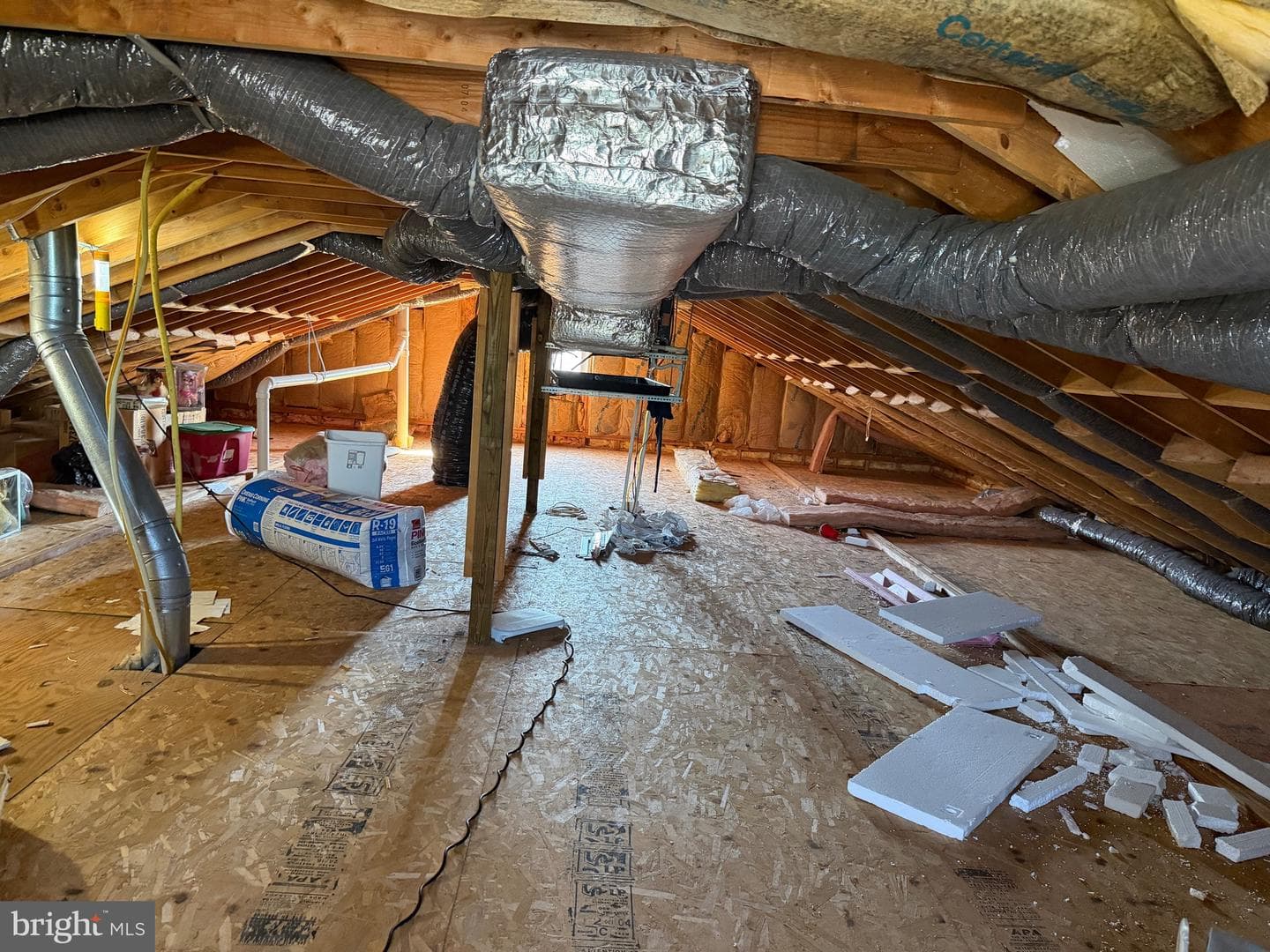 9966 Verree Road photo 58