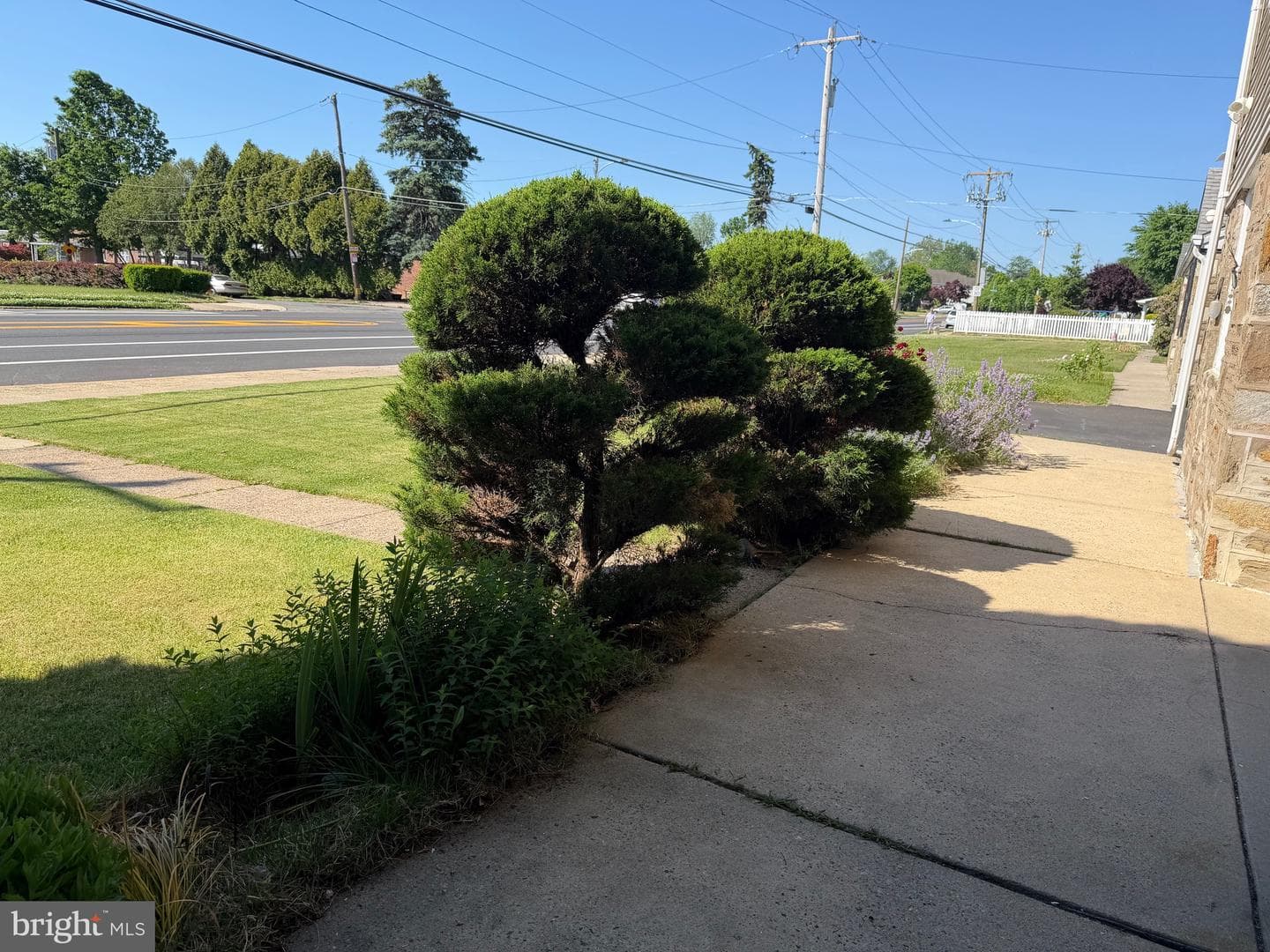 9966 Verree Road photo 8
