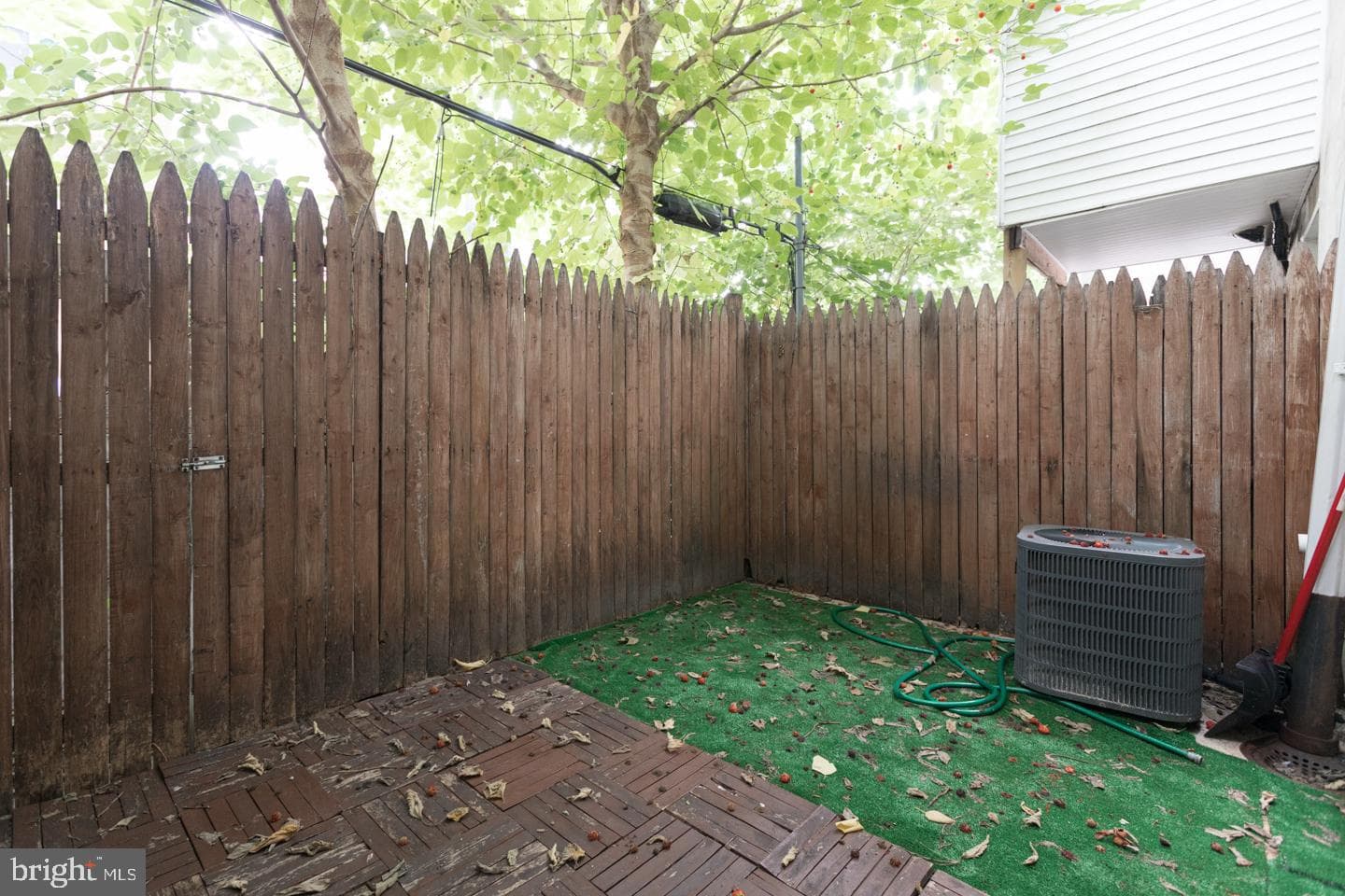 1161 S Mole Street photo 6