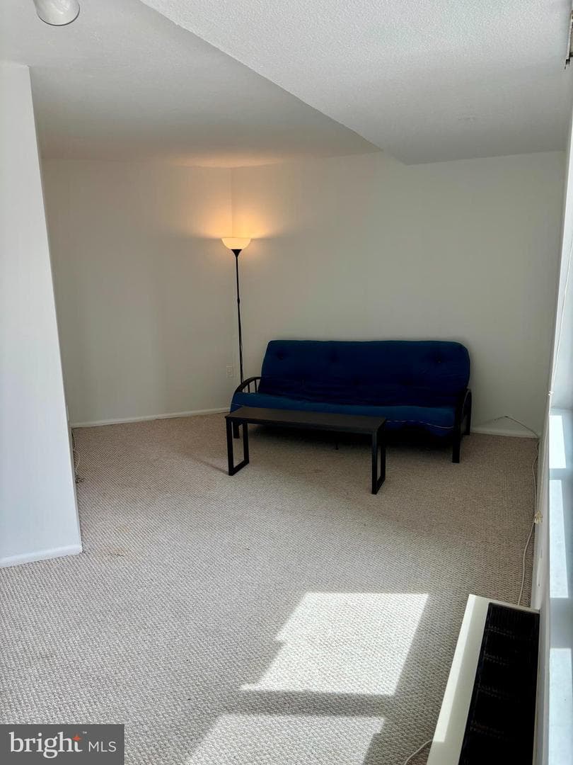 1420 Locust St # 12B photo 9