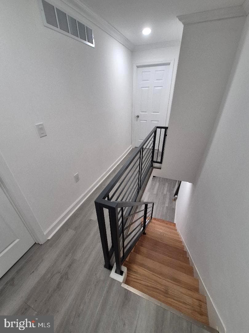1031 Winton Street photo 20