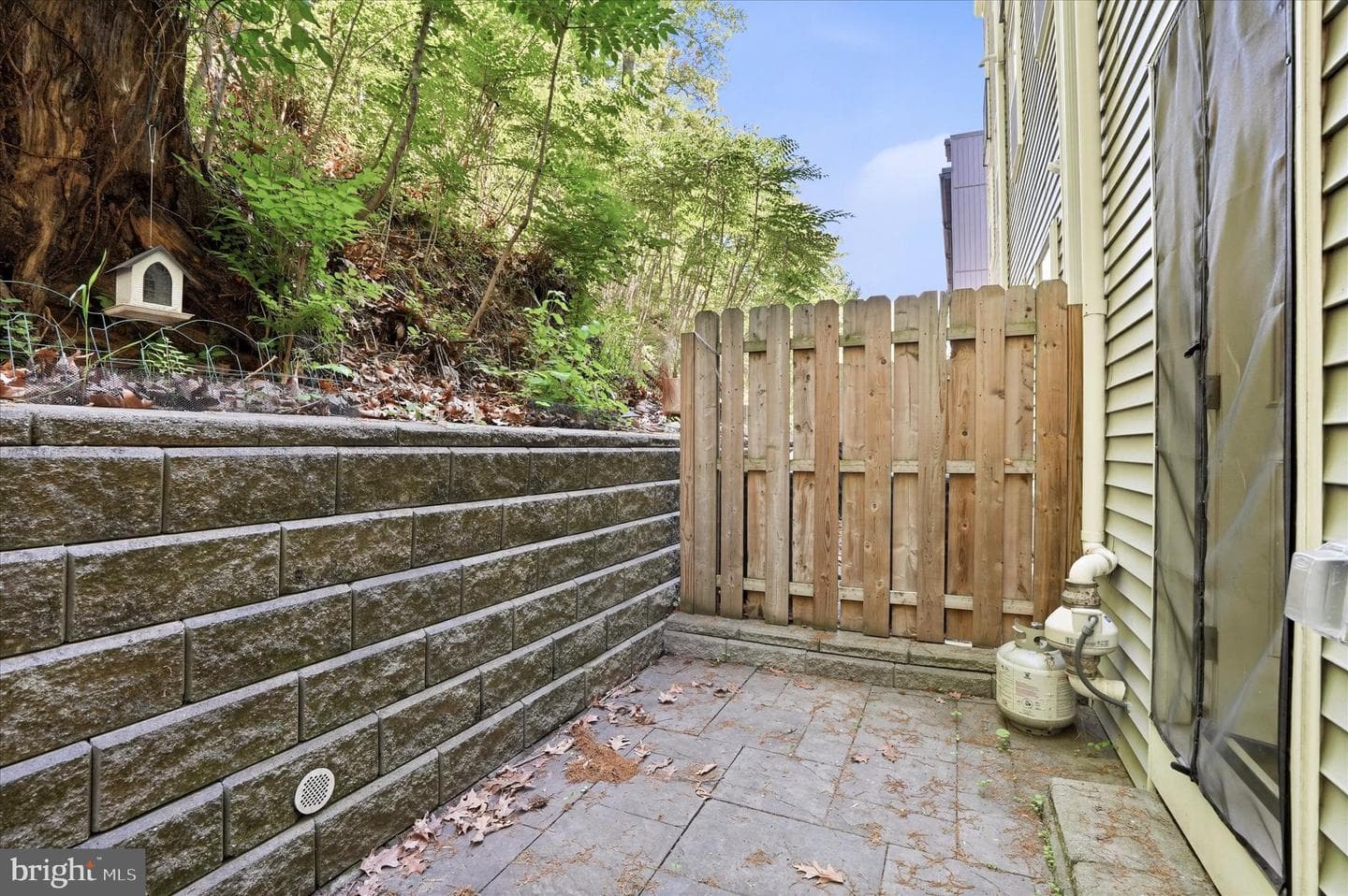 218 Fountain Street photo 31