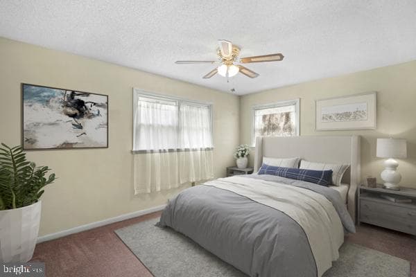 9223 Crispin Street photo 12