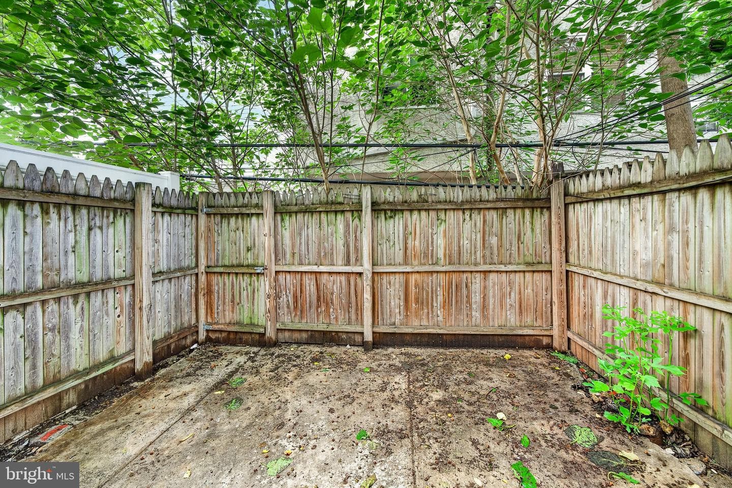 2029 Sigel Street photo 32
