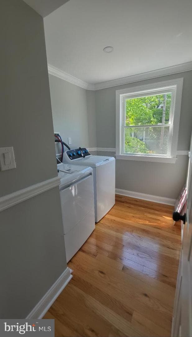56 E Tulpehocken Street photo 27