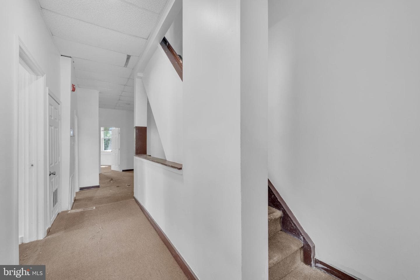 162 W Manheim Street photo 28