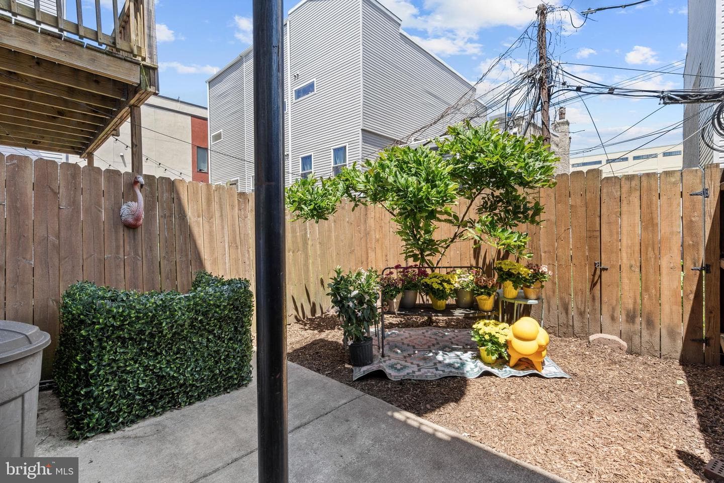 3009 W Cabot Street photo 22