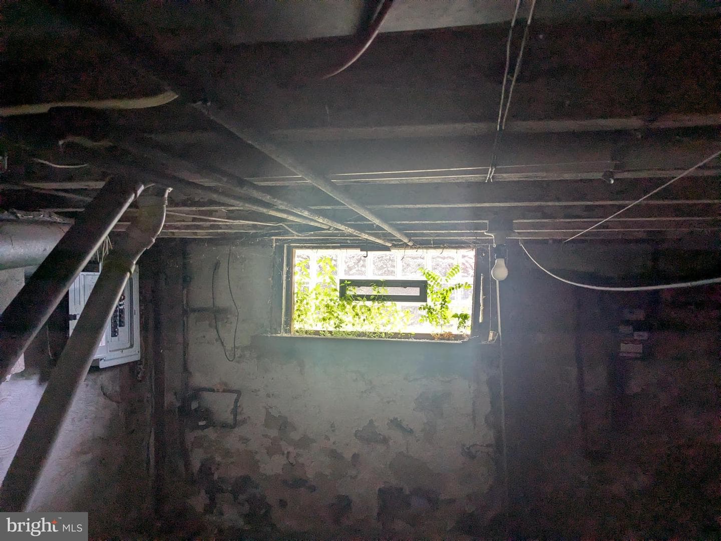 1818 Brunner Street photo 20