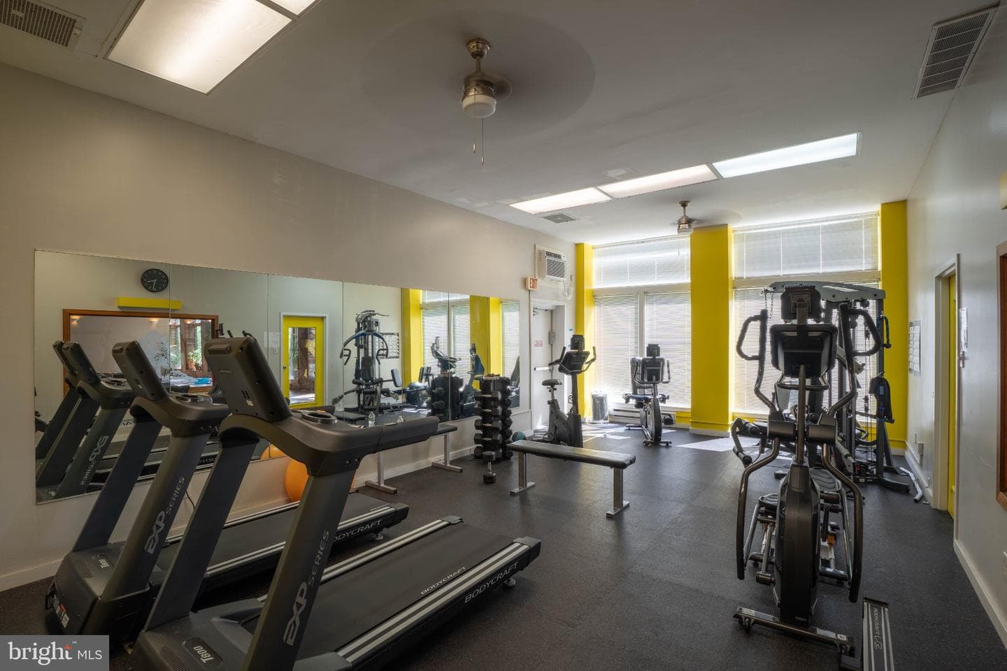 251 Shawmont Avenue #g photo 22