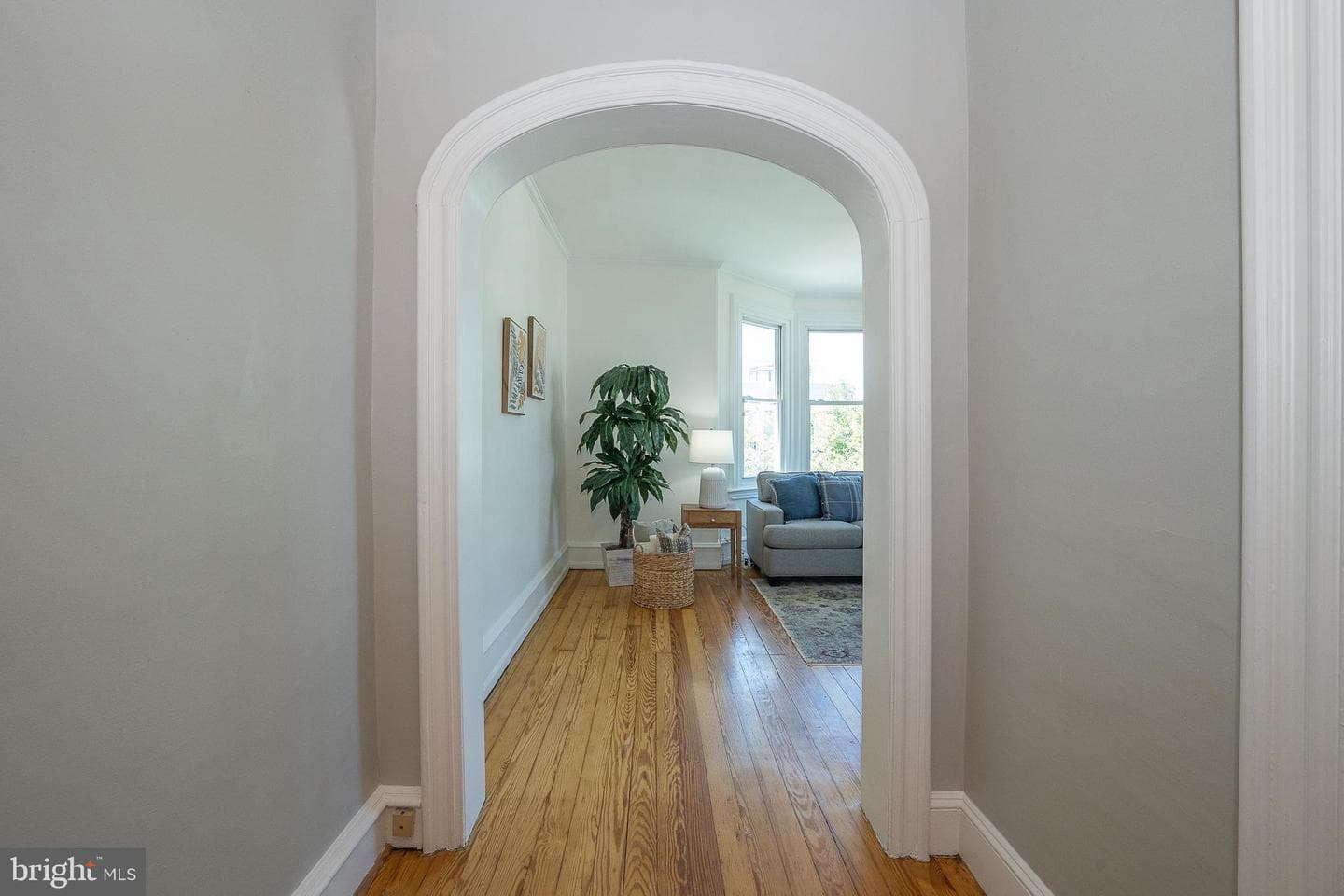 3836 Manayunk Avenue photo 17