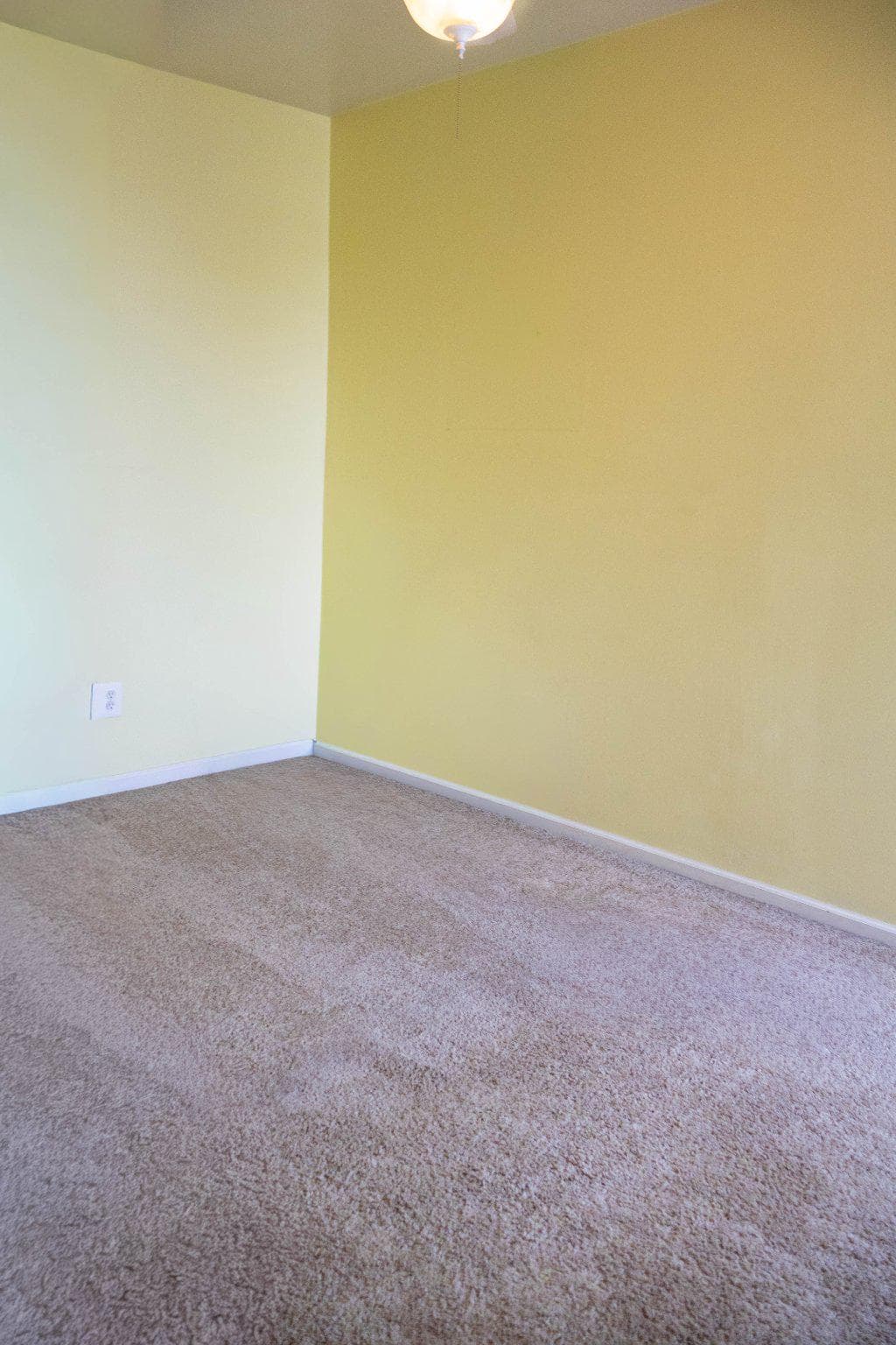 4368 Edgemont photo 13