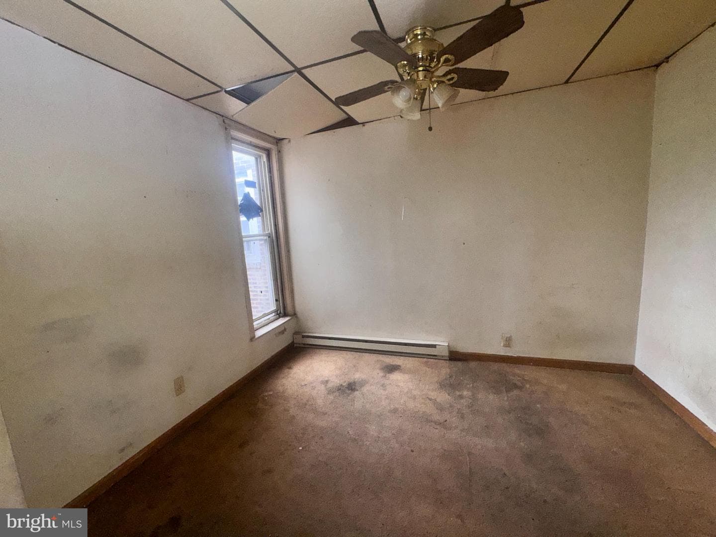 528 Geneva Avenue photo 13