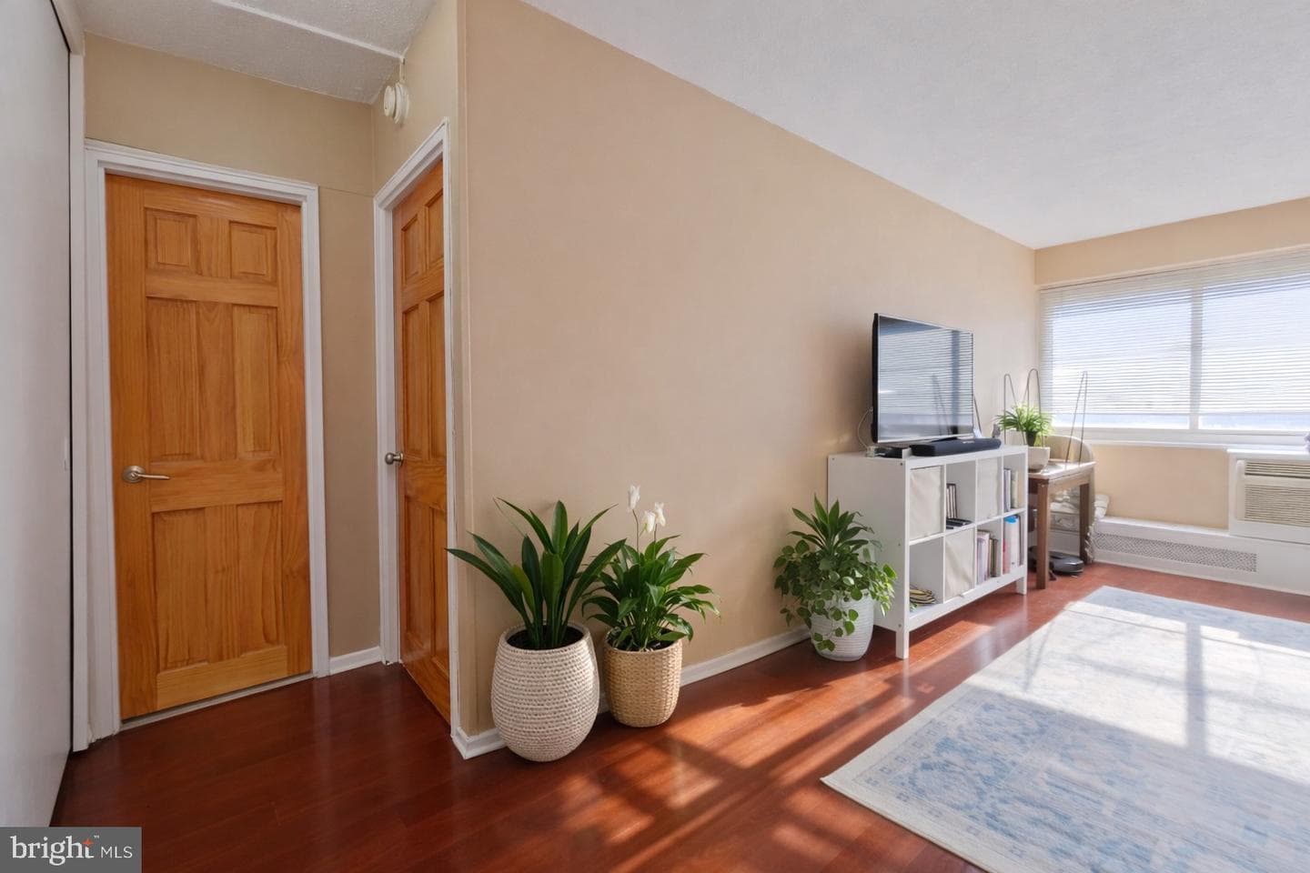 2101 Chestnut Street #1011 photo 2