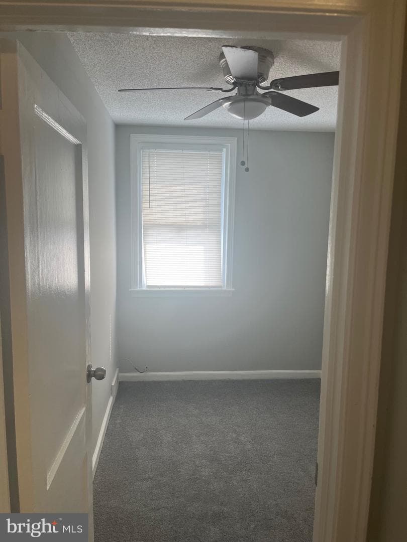 4559 Aldine Street photo 7