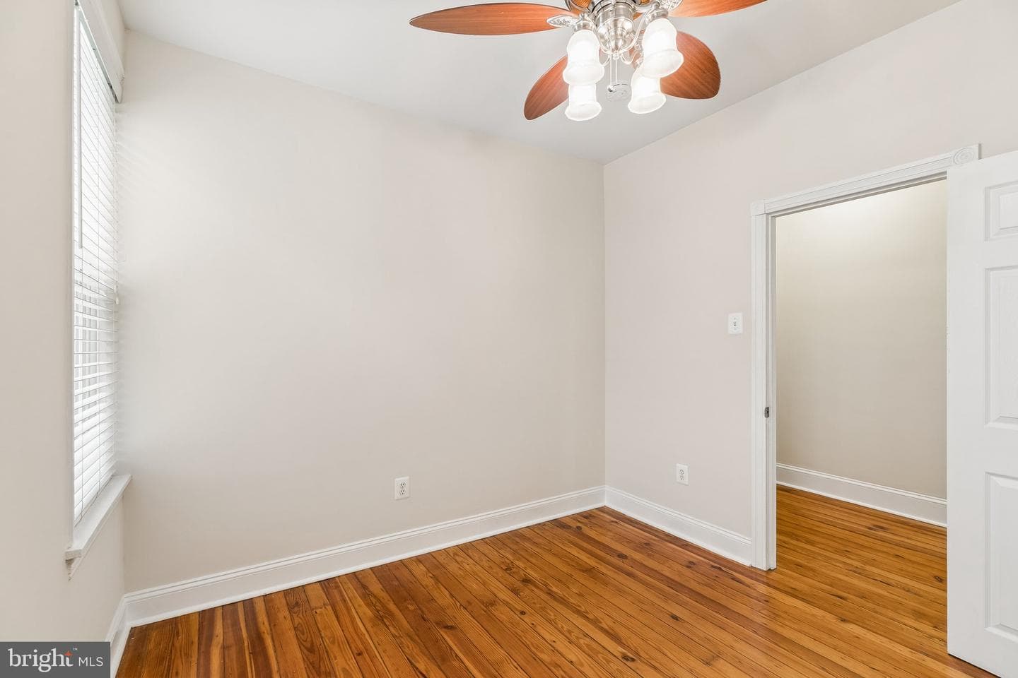 385 Conarroe Street photo 20