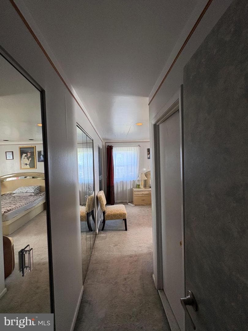 152 Rennard Street photo 23