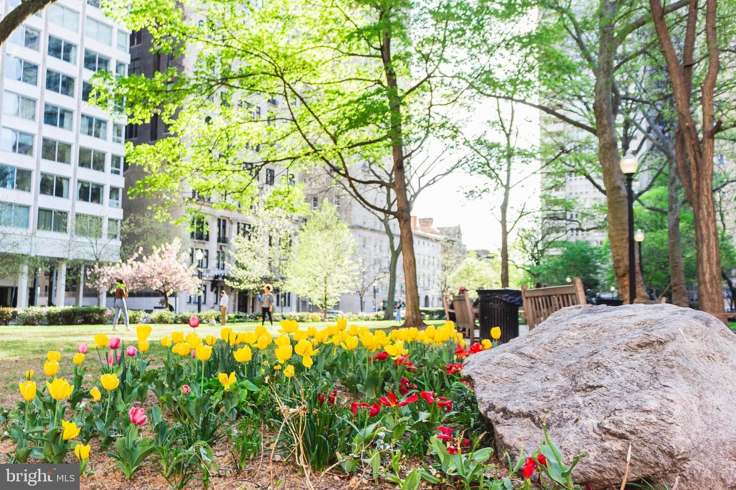 1810 Rittenhouse Square #313 photo 27