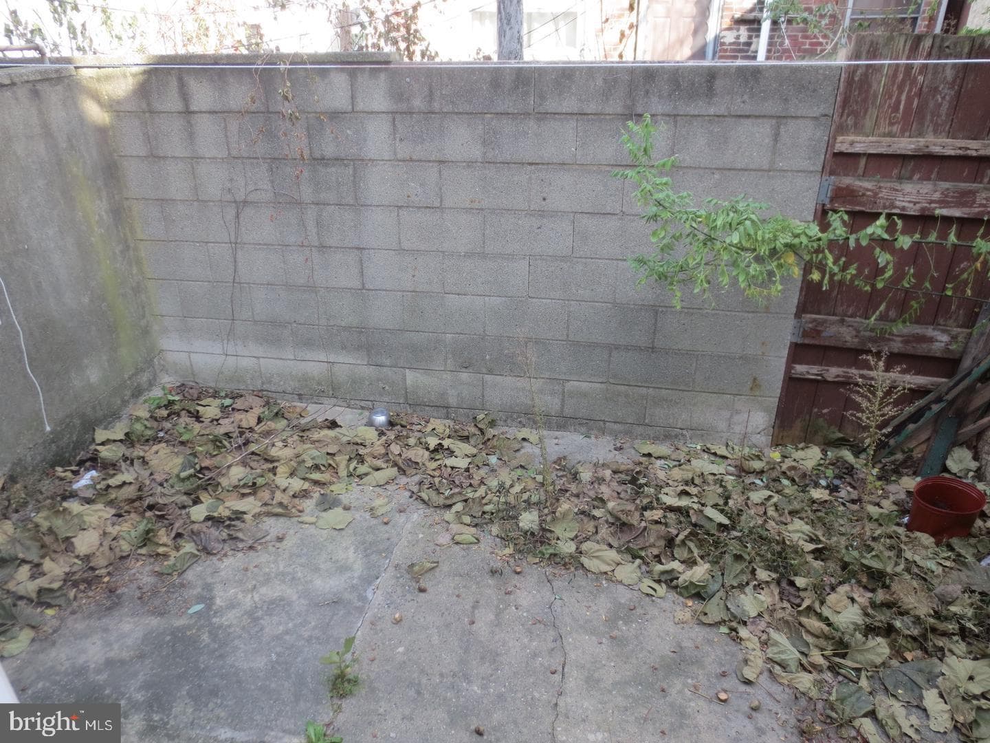 2821 Winton Street photo 7