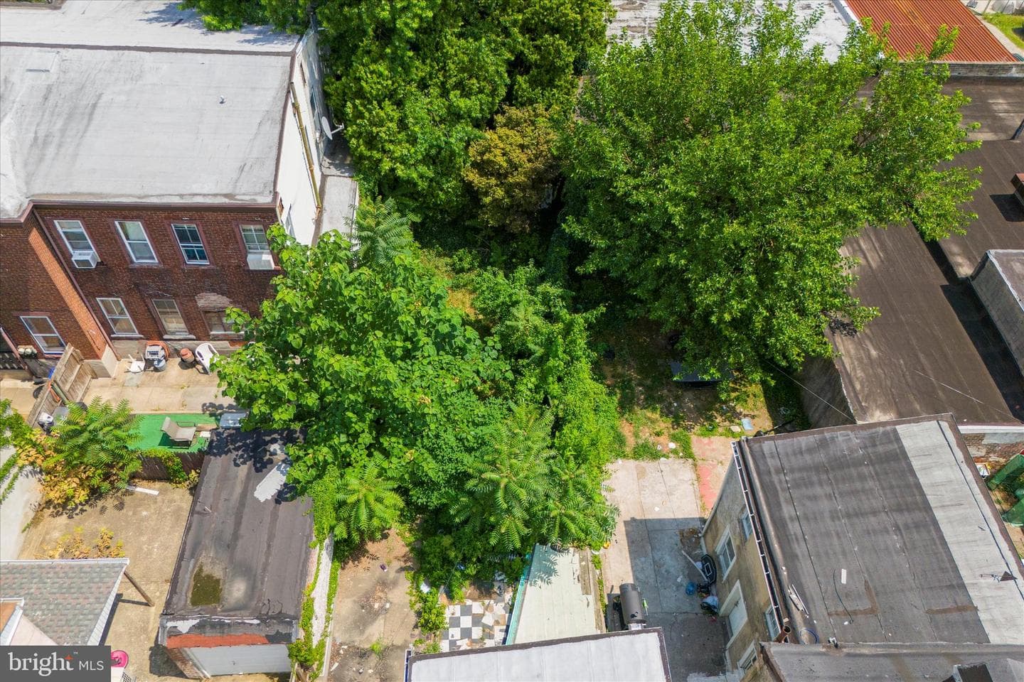 4461 Leiper Street photo 10