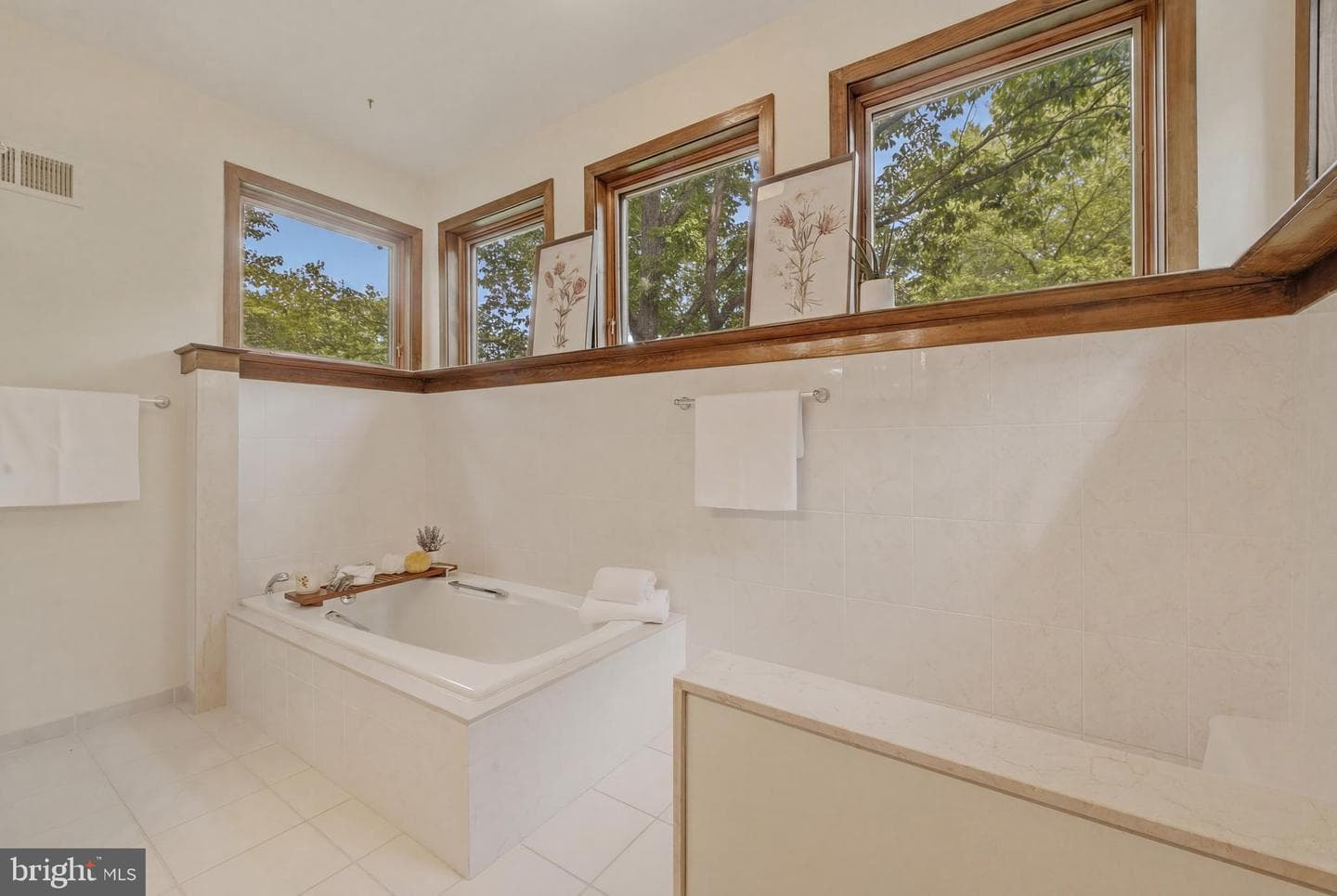 733 Cornelia Place photo 22