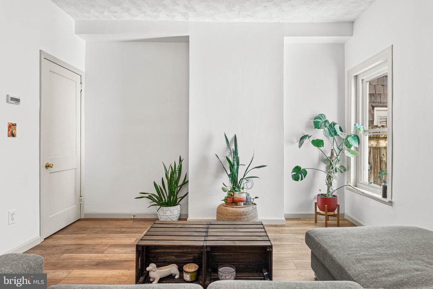 273 Kalos Street photo 6