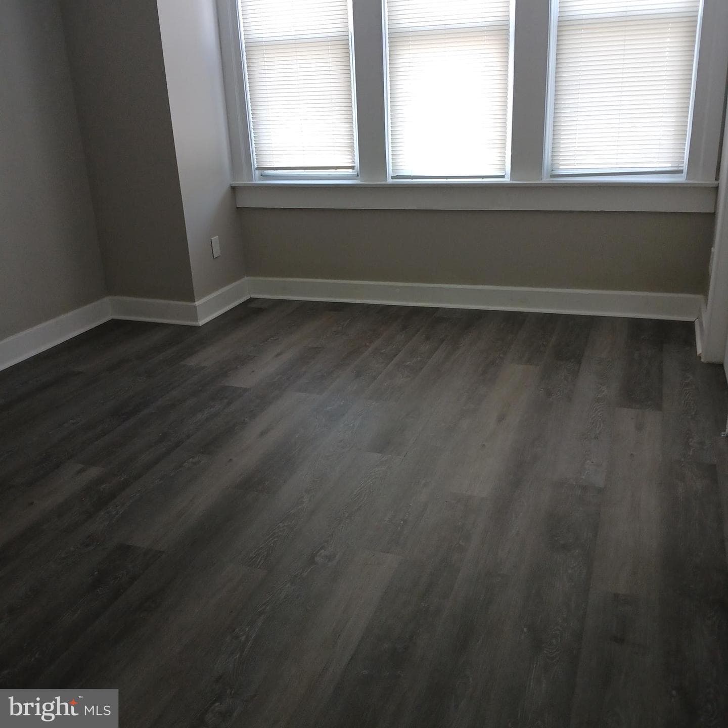 2918 Tulip Street photo 9