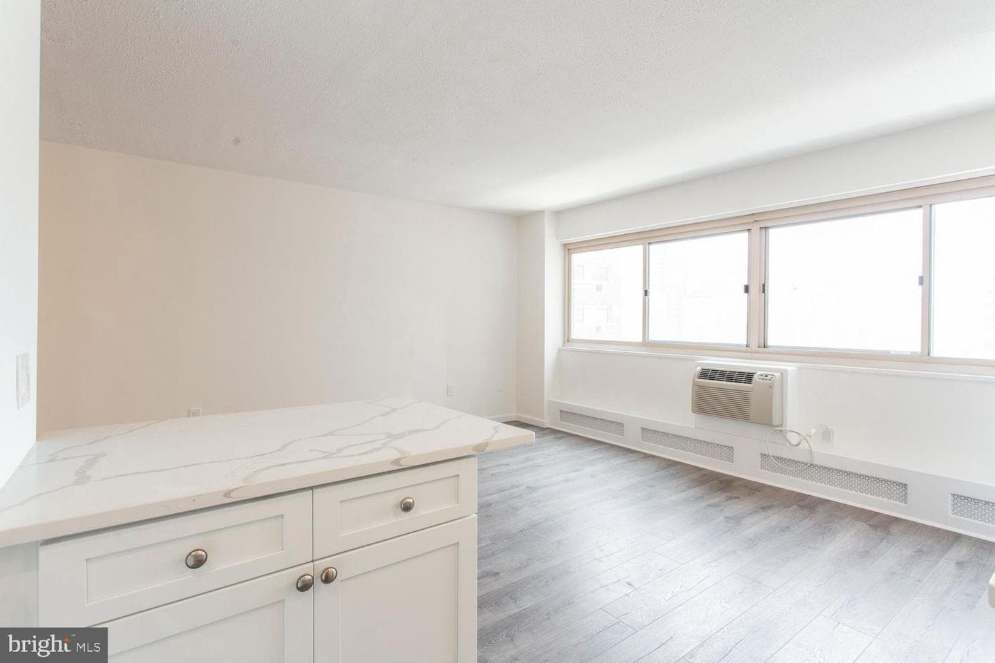 2101 Chestnut Street #1025 photo 9
