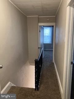 3190 Agate Street photo 7
