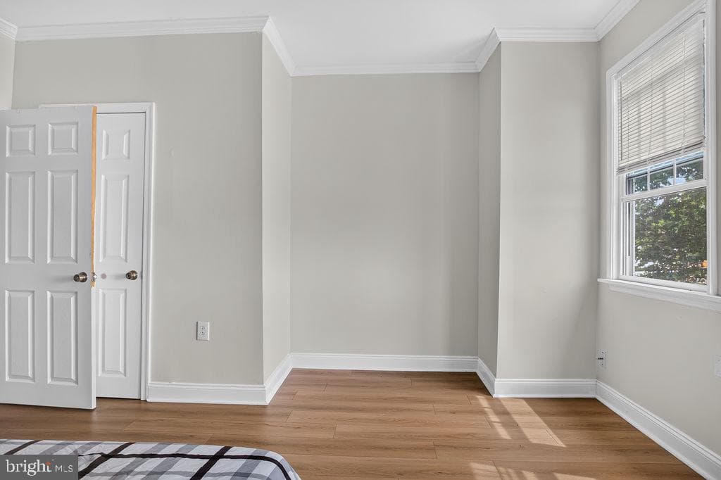6732 Ogontz Avenue photo 26
