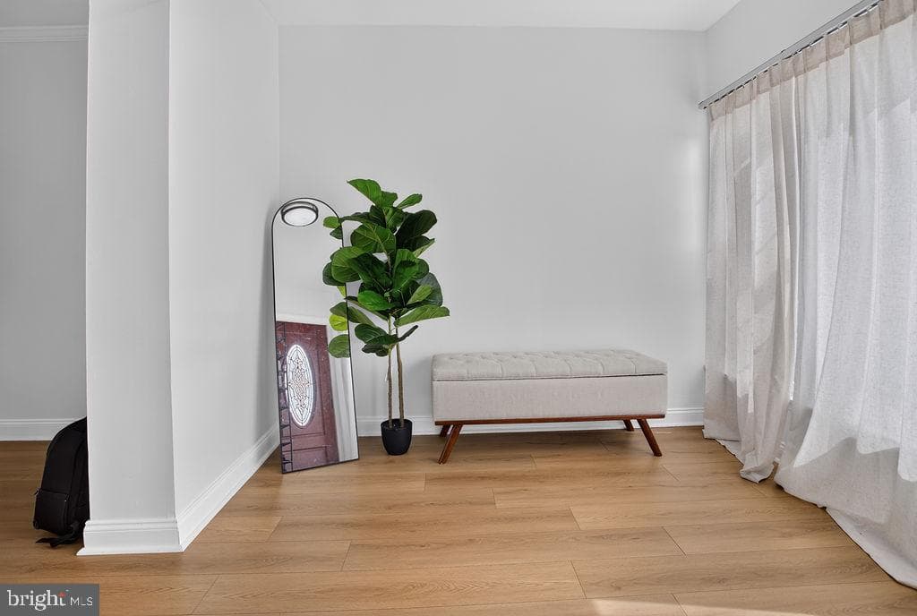 6732 Ogontz Avenue photo 3