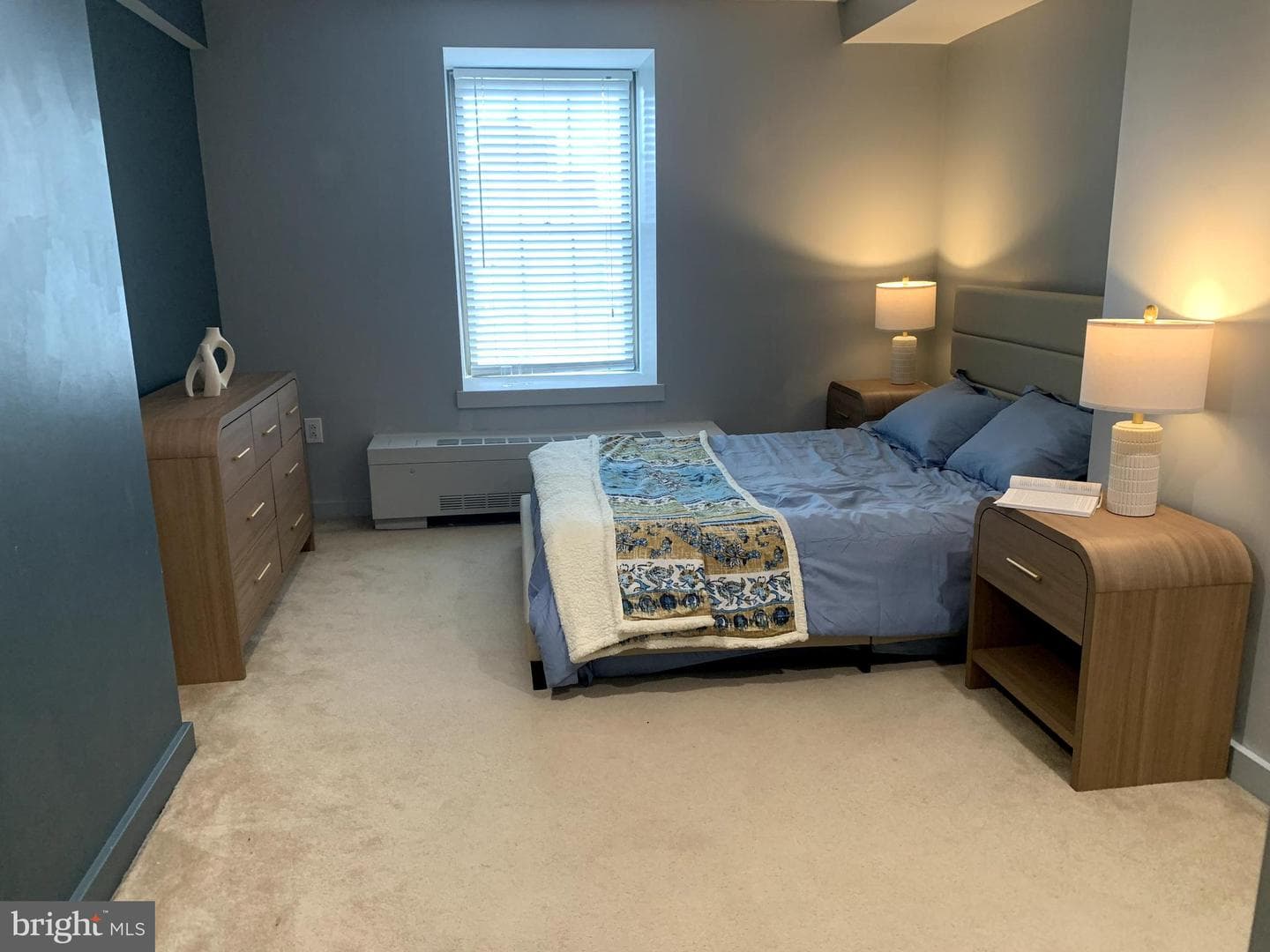 219 S 18th Street #412 photo 12