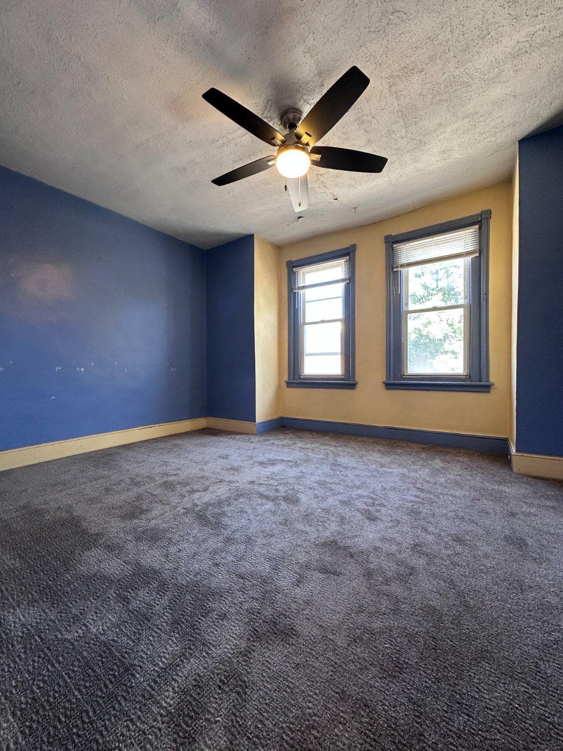 3607 Witte Street photo 16