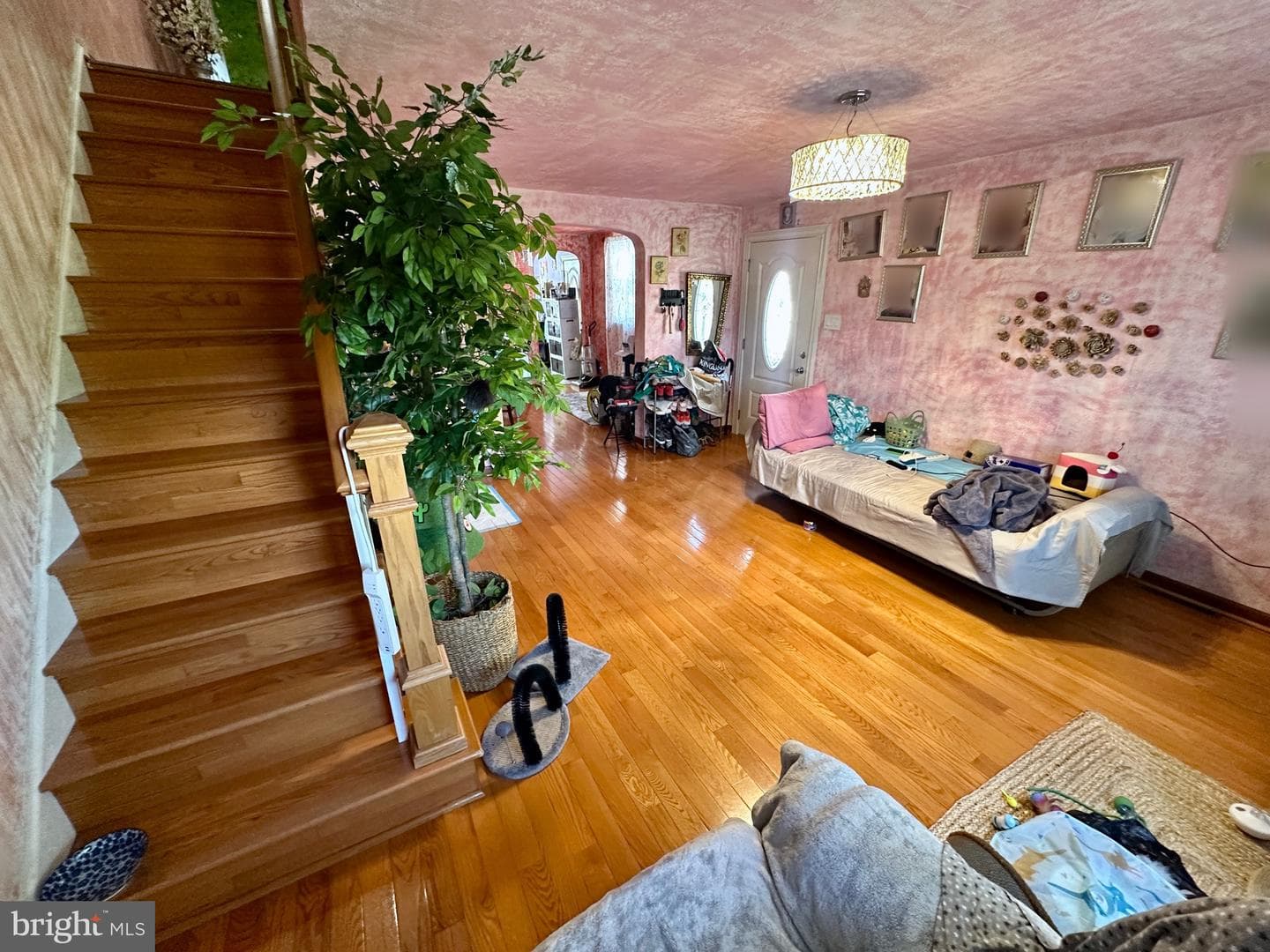 1800 Megargee Street photo 9