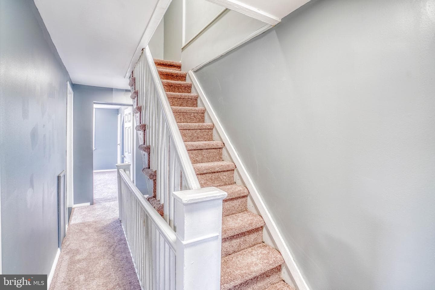 3601 Rhawn Street photo 20