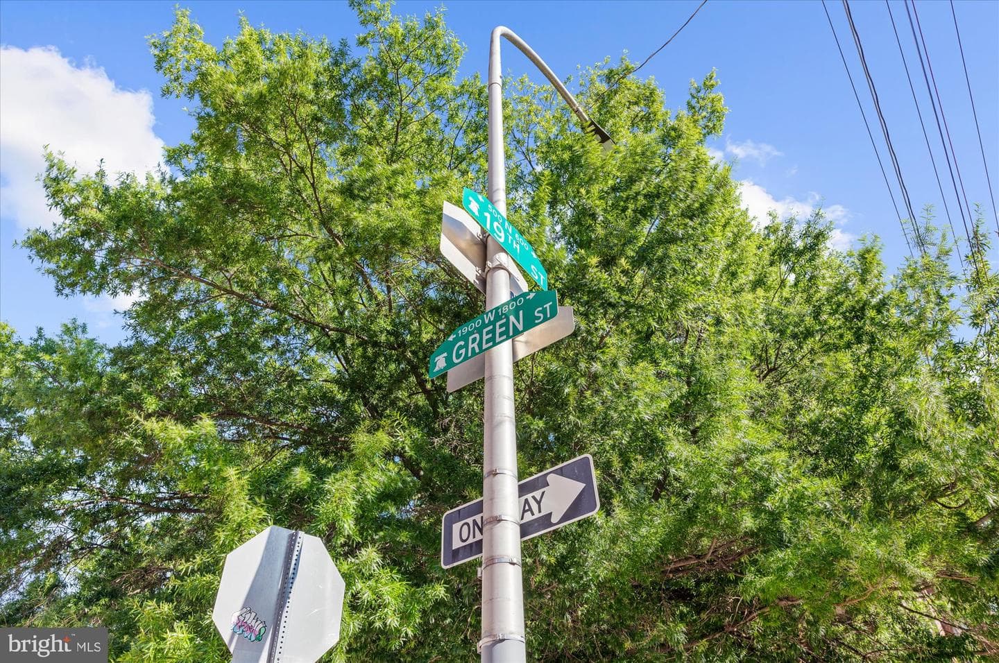 1901 Green Street #9 photo 23