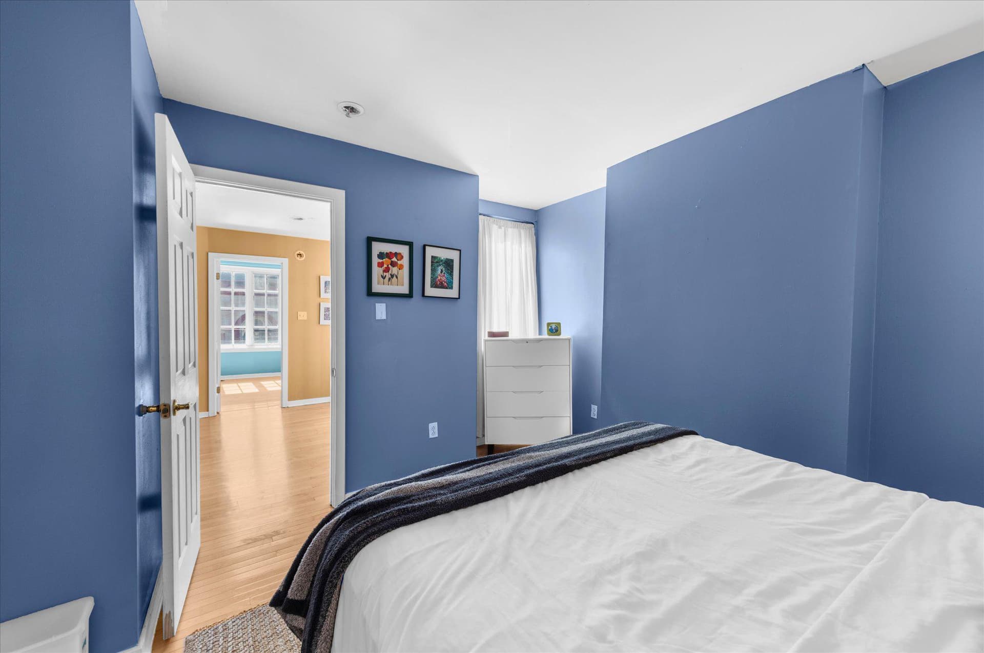 1901 Green Street #9 photo 8