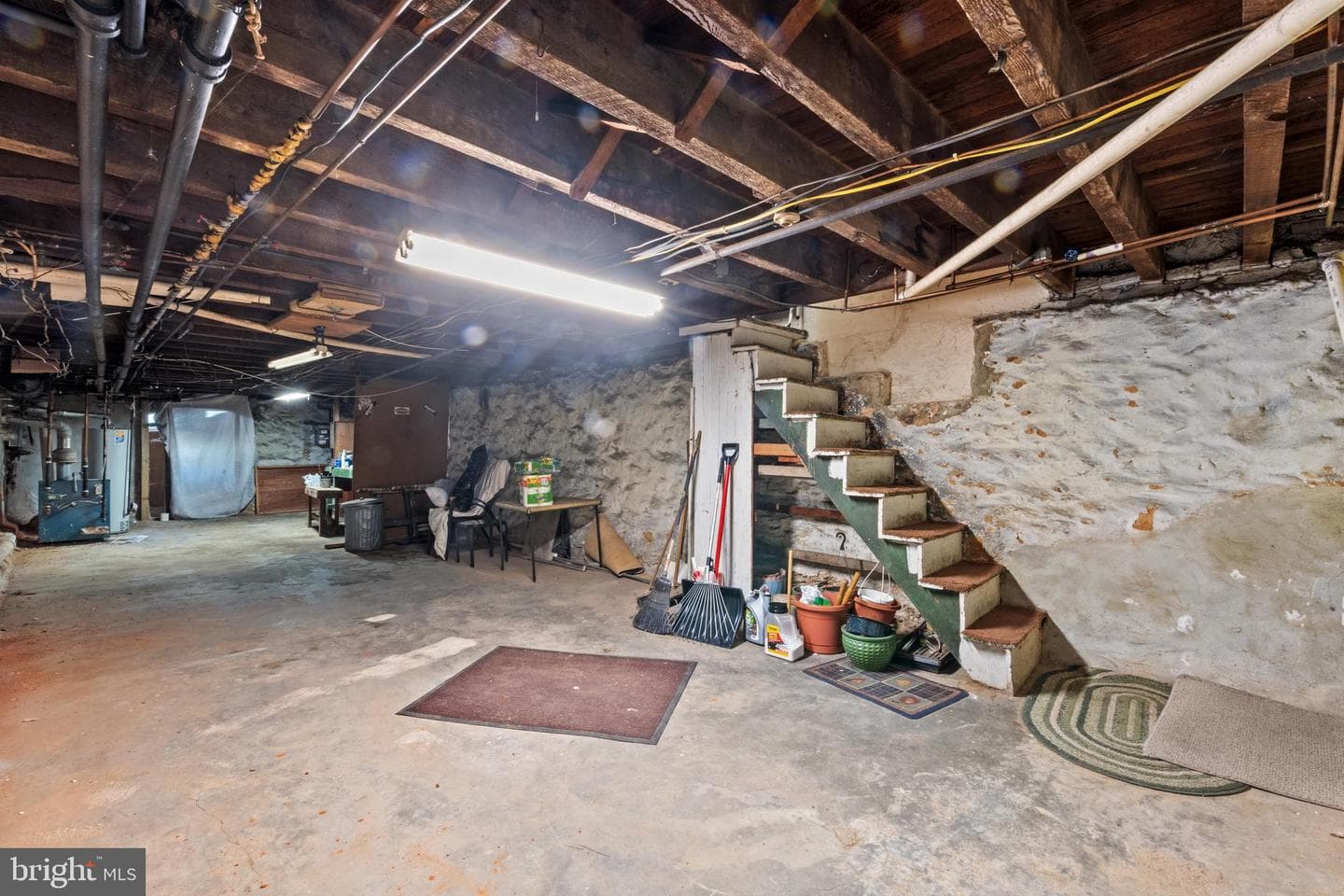 4227 Pechin Street photo 34