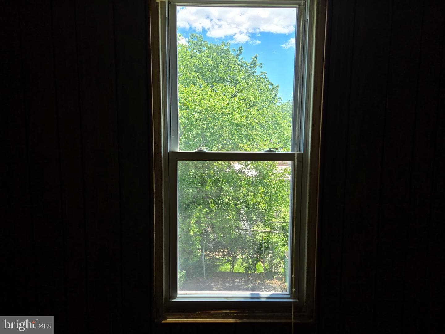 562 Martin Street photo 21