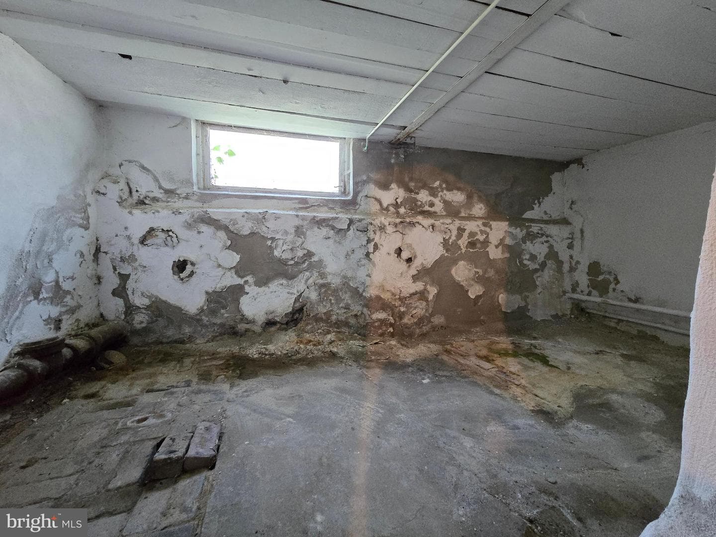 562 Martin Street photo 32
