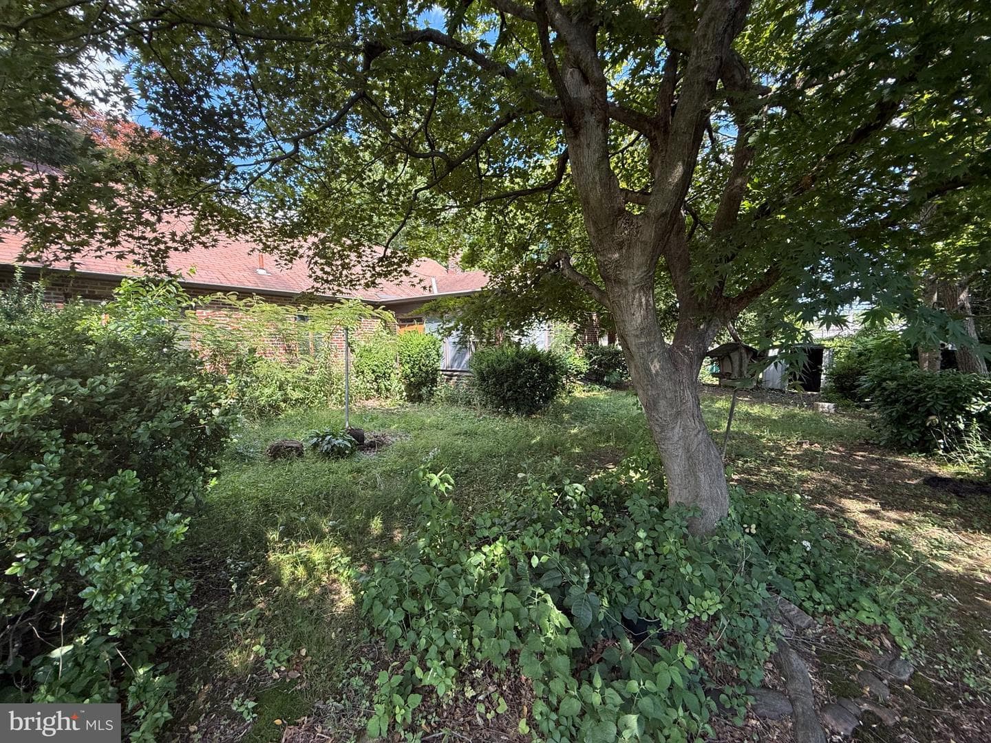 836 Strahle Street photo 13